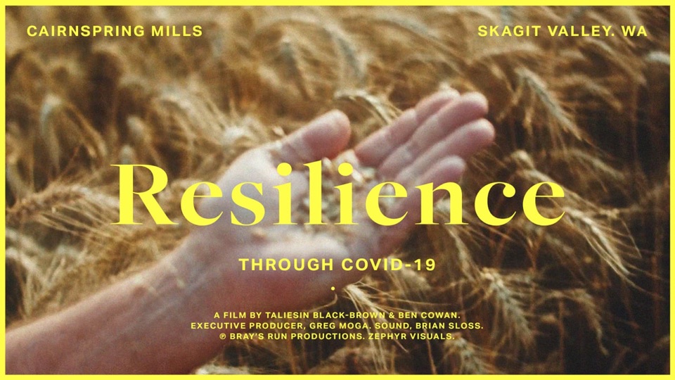 Cairnspring Mills, Resilience